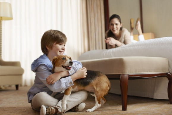 Pet Friendly Hotels Oklahoma City Sheraton Pet Friendly Hotels Oklahoma City